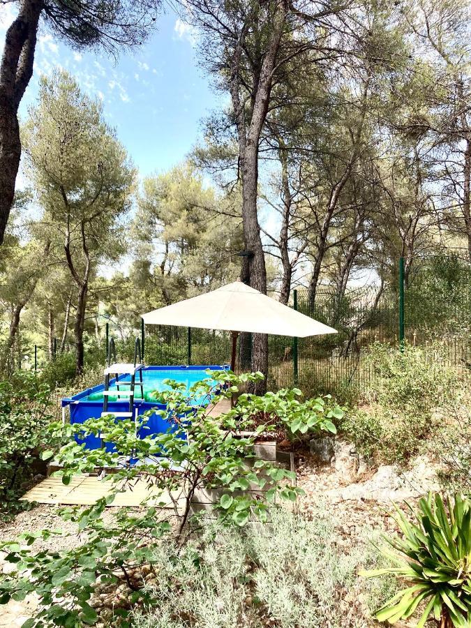Maison De Charme Avec Piscine Et Jacuzzi Dans Cadre Exceptionnel Proche Marseille Mirabeau Екстериор снимка